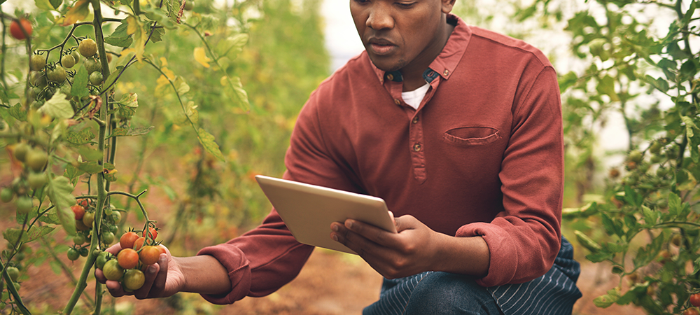 Providing digital and affordable financial solutions to East African farmers